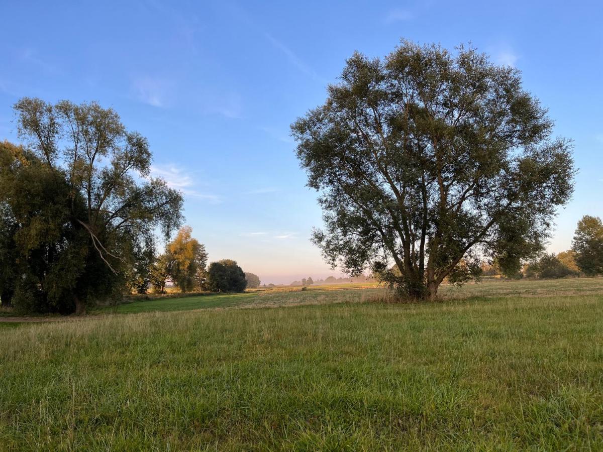Kasztanowka - Dom Goscinny Na Podlasiu, Agroturystyka Szepietowo Luaran gambar